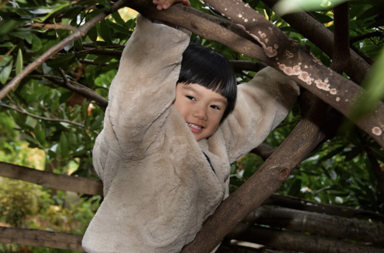 boy in a tree