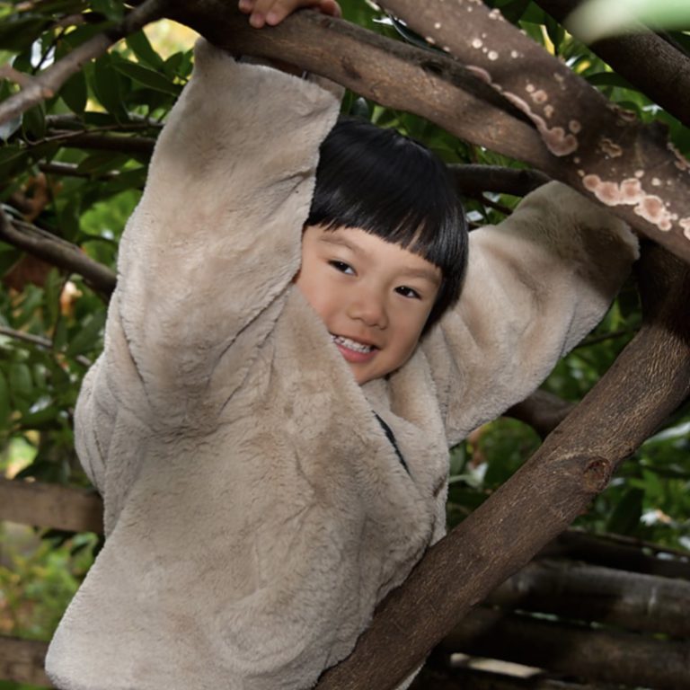 boy in a tree