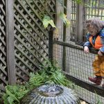 child looking at a water feature