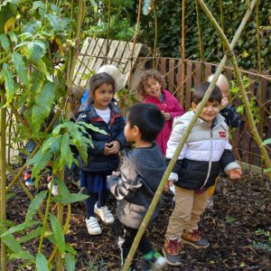 children in the garden