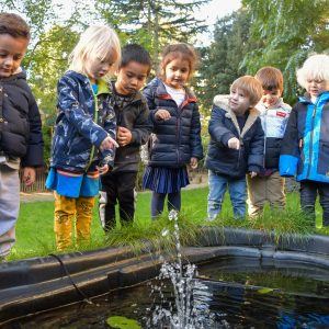 children pointing at things in the pond and water features