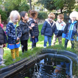 children looking into a pond