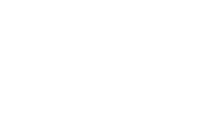 Miss Daisys White Est. 2006